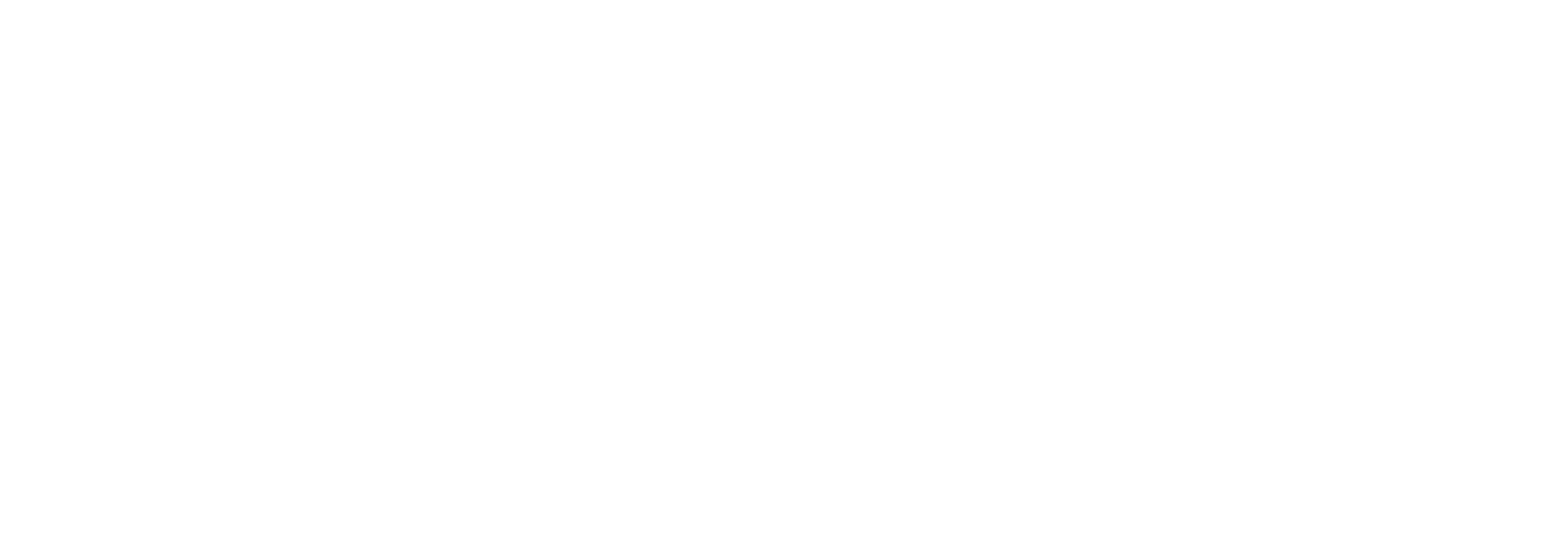 logo normcheck weiß 1200x300